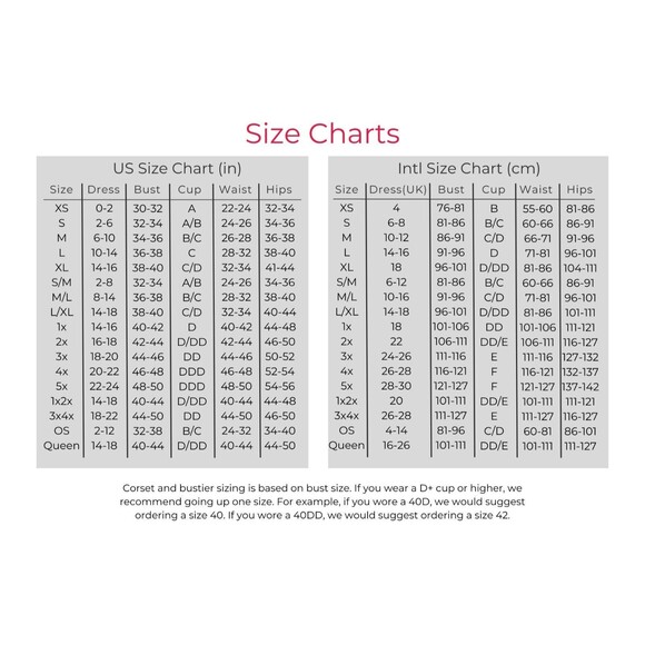 Rock Star Costume Womens Sizes S or M 5Pc Halloween Roleplay Cosplay Outfit - Picture 2 of 8